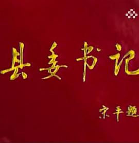 县委书记