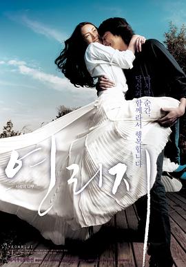 连理枝 연리지