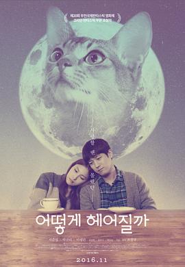 如何与我的猫分手 어떻게 헤어질까