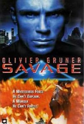 机密特区 Savage