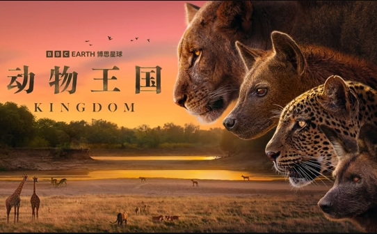 动物王国配音版