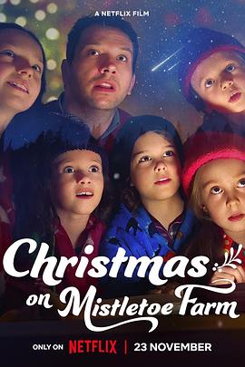 槲寄生农场的惊奇圣诞 Christmas on Mistletoe Farm