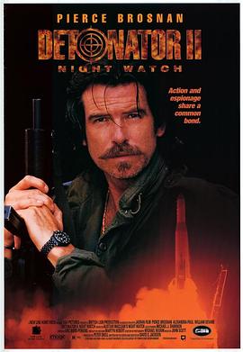 谍网雄风 Night Watch