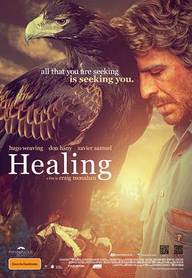 愈合 Healing