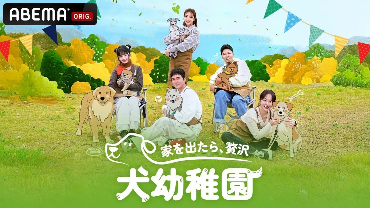 小狗幼儿园