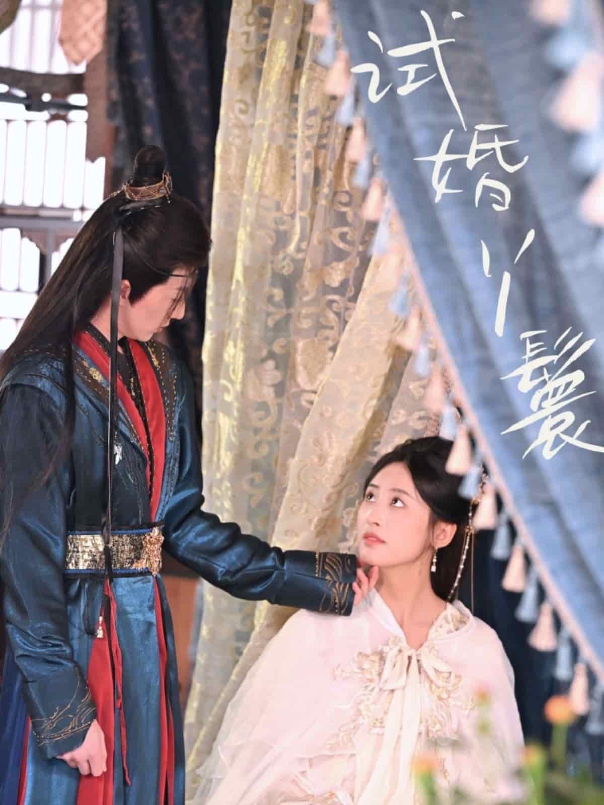 试婚丫鬟