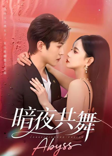 暗夜共舞