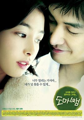 蜥蜴 도마뱀