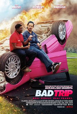 恶搞之路 Bad Trip