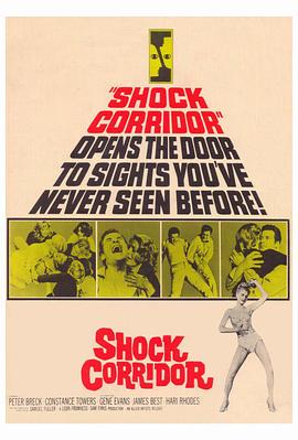 恐怖走廊 Shock Corridor