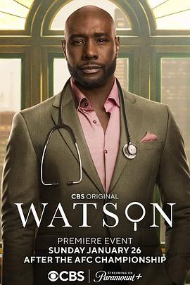 华生 第一季 Watson Season 1