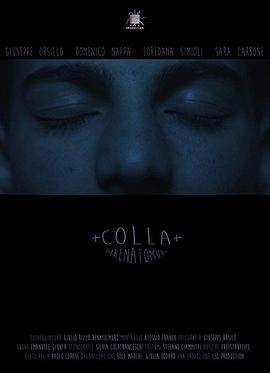 胶水 Colla