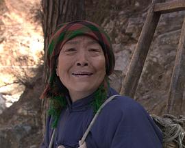 成科