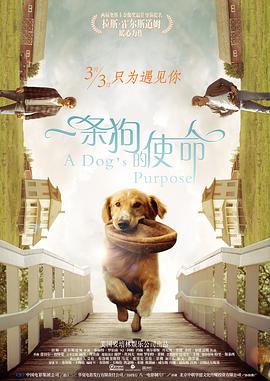 一条狗的使命 A Dog&amp;amp;#39;s Purpose