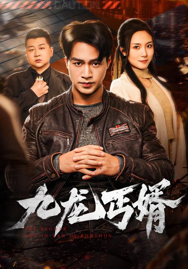 九龙丐婿